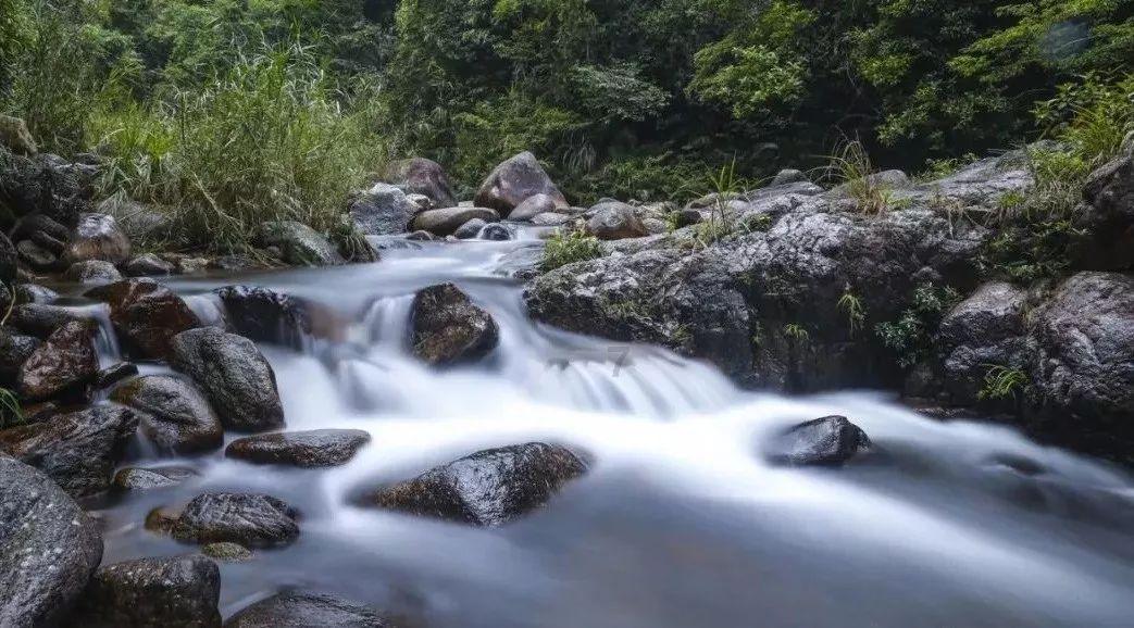 逃离沙地